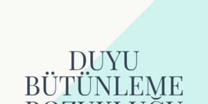 duyu butunleme bozuklugu